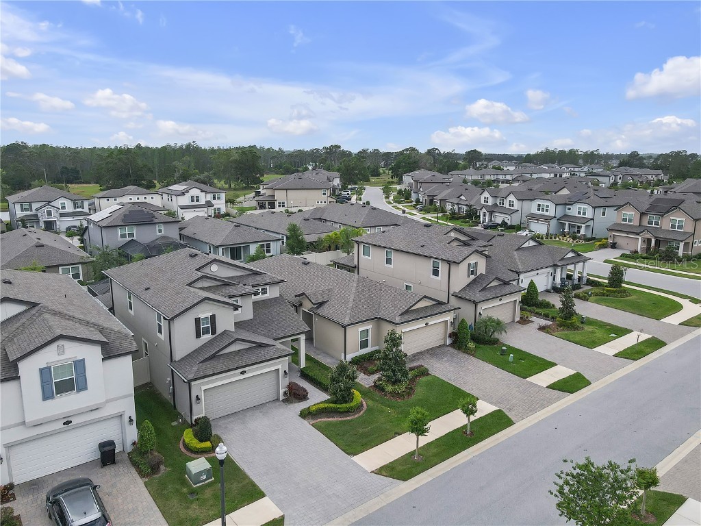 19926 Stone Pine Circle Lutz FL 33558 TB8449645 image45