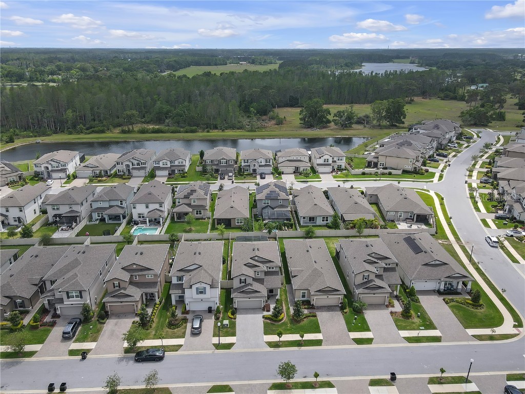 19926 Stone Pine Circle Lutz FL 33558 TB8449645 image51