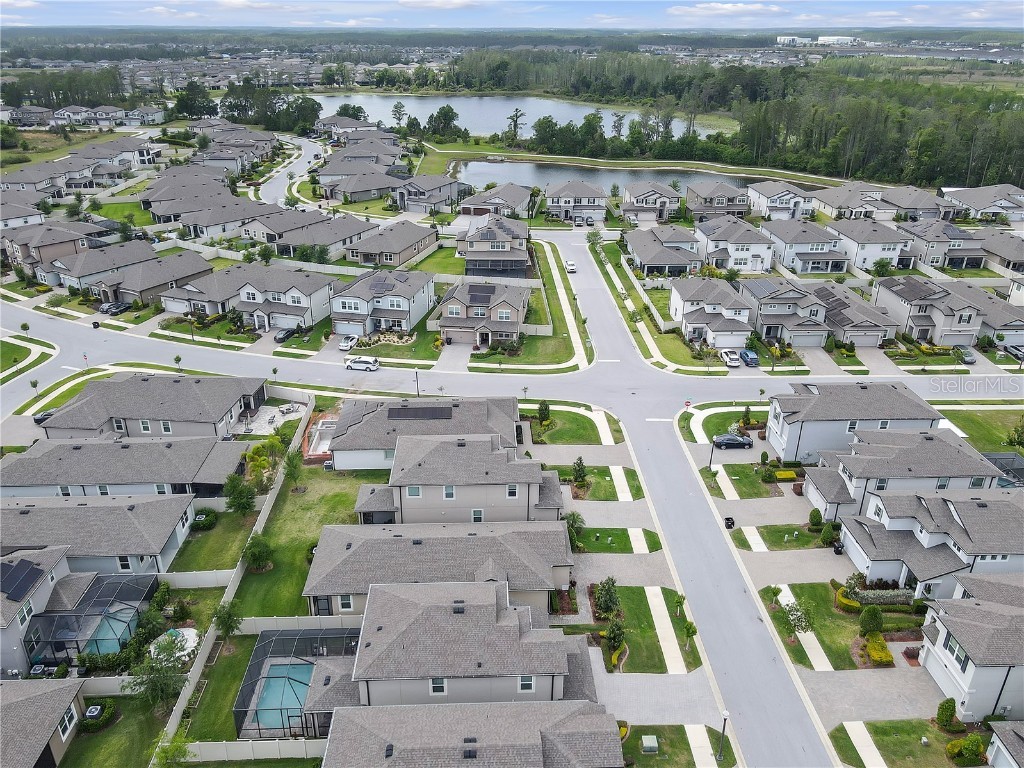 19926 Stone Pine Circle Lutz FL 33558 TB8449645 image52