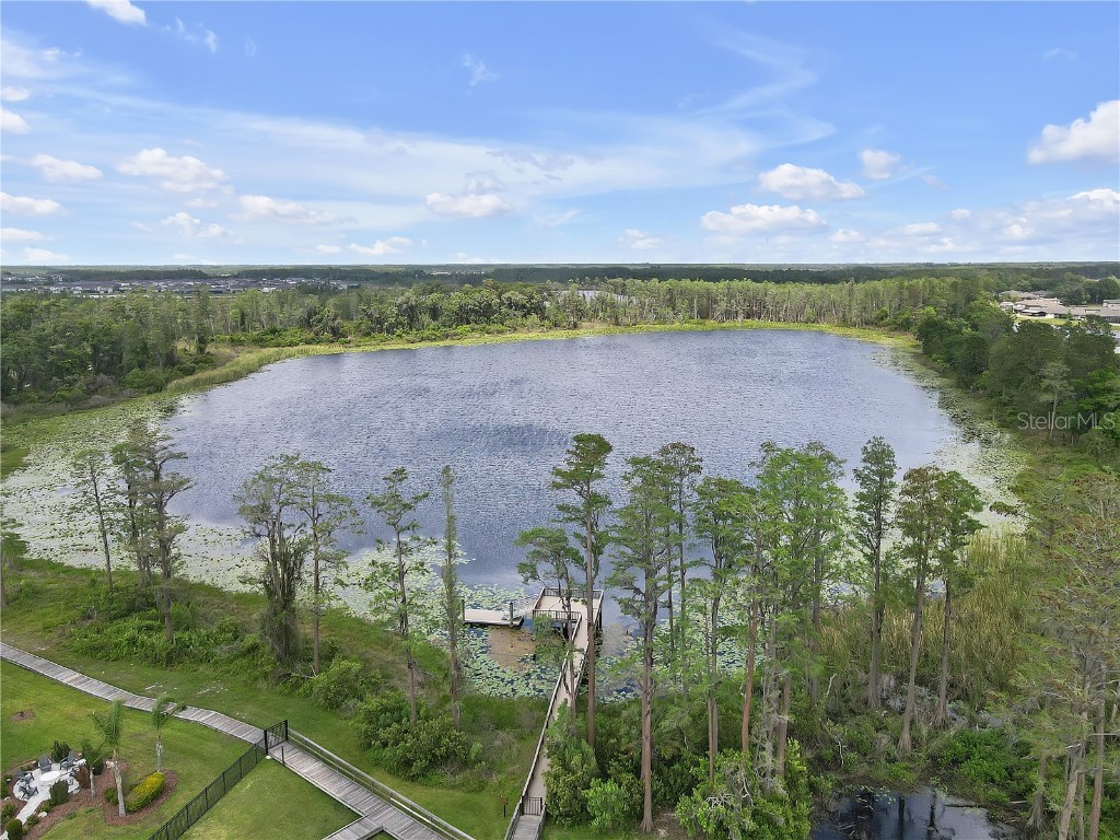 19926 Stone Pine Circle Lutz FL 33558 TB8449645 image58