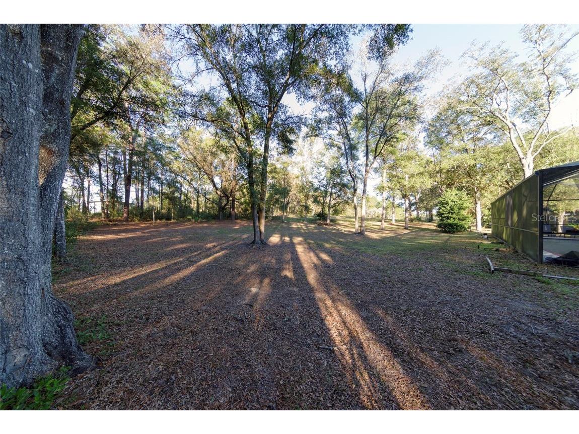 19931 SW 93rd Lane Road Dunnellon FL 34432 OM715190 image38