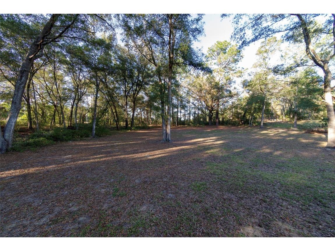 19931 SW 93rd Lane Road Dunnellon FL 34432 OM715190 image41