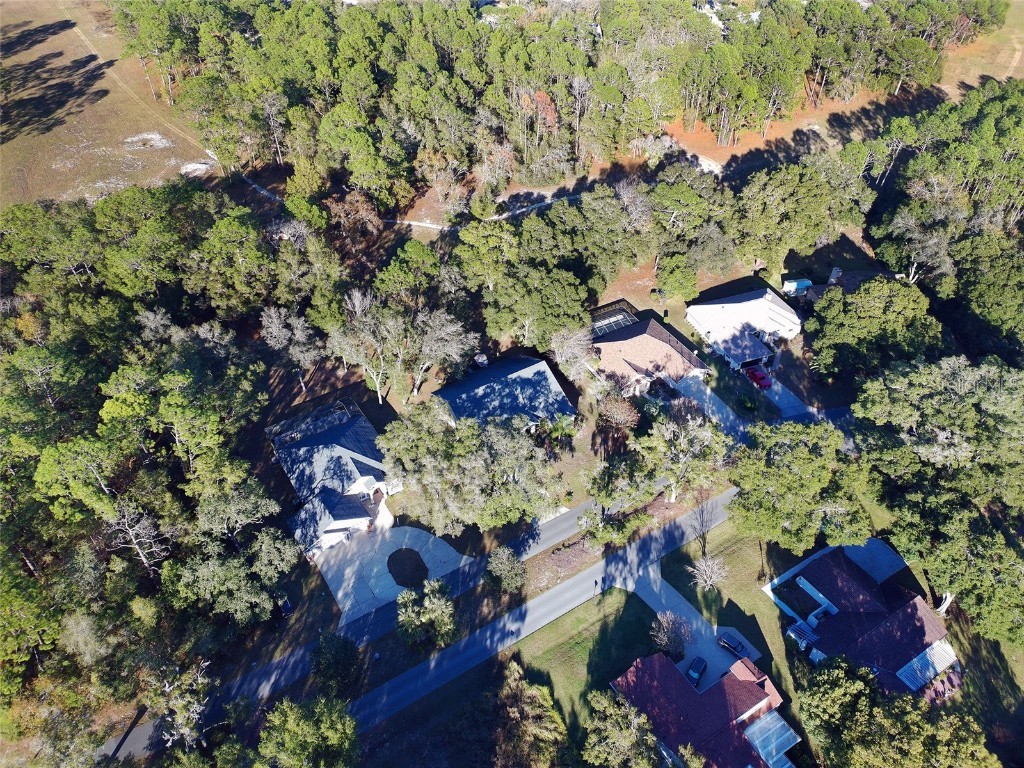 19931 SW 93rd Lane Road Dunnellon FL 34432 OM715190 image44