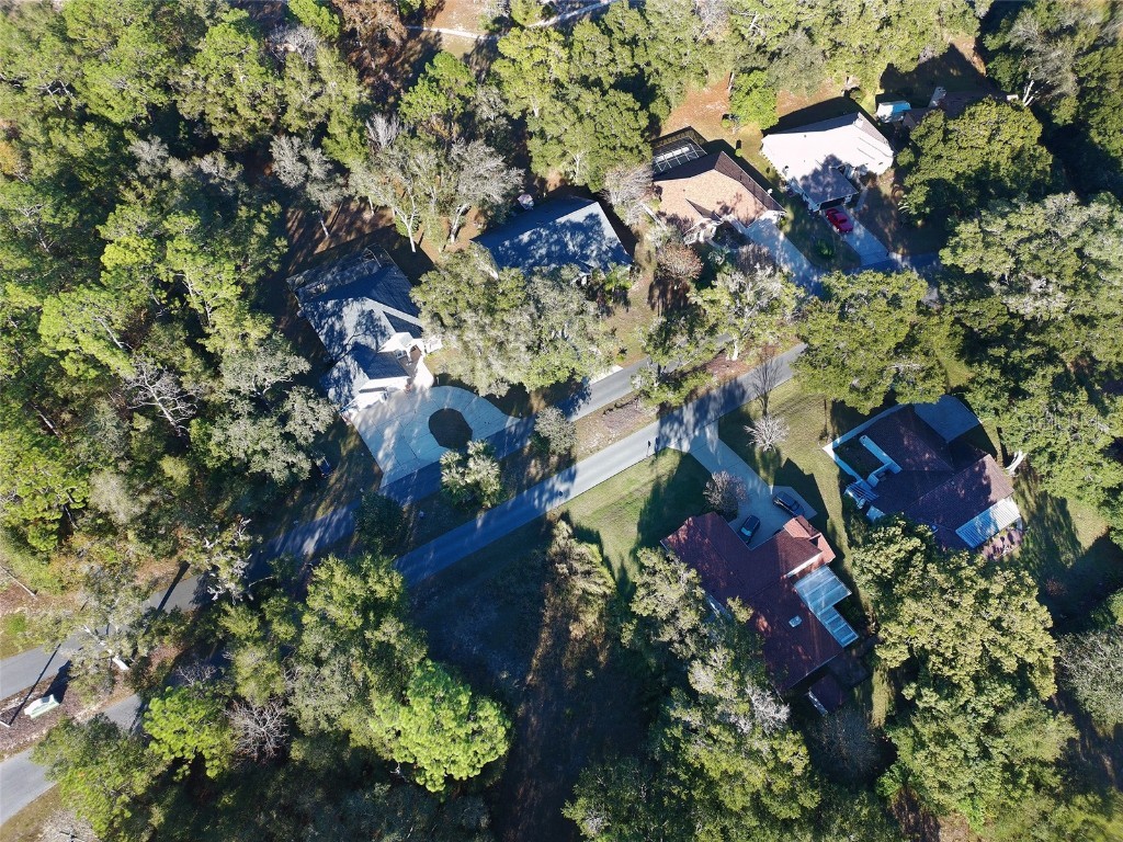 19931 SW 93rd Lane Road Dunnellon FL 34432 OM715190 image46