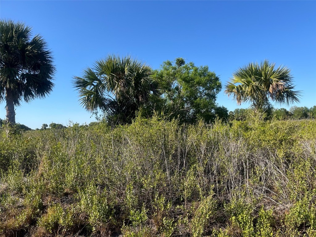 19935 NW 278th Street Okeechobee FL 34972 OK225049 image1