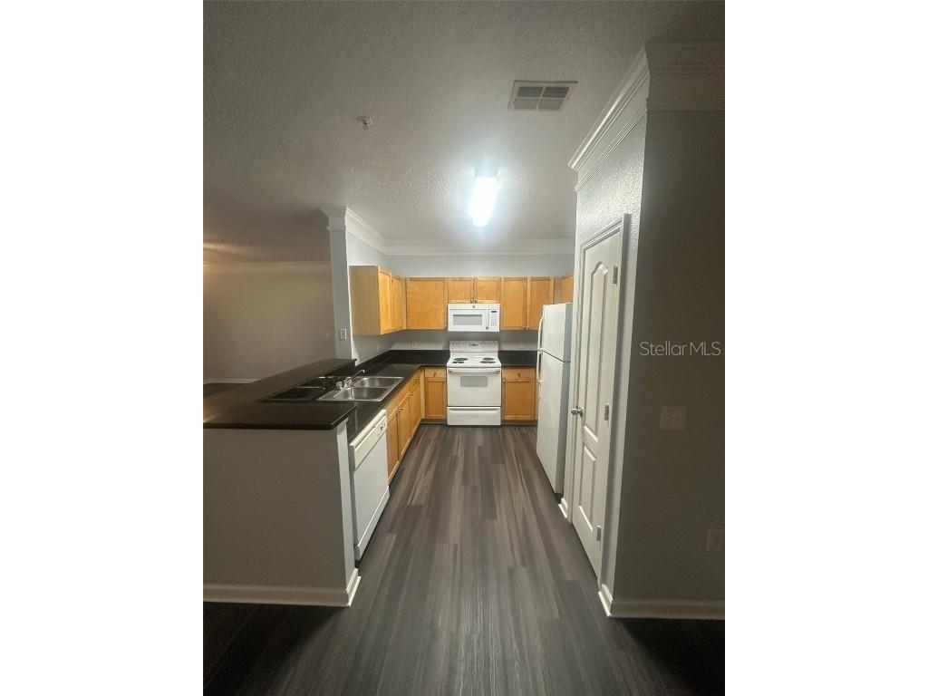 19935 Villa Isle Drive # Orlando FL 32821 O6310190 image4