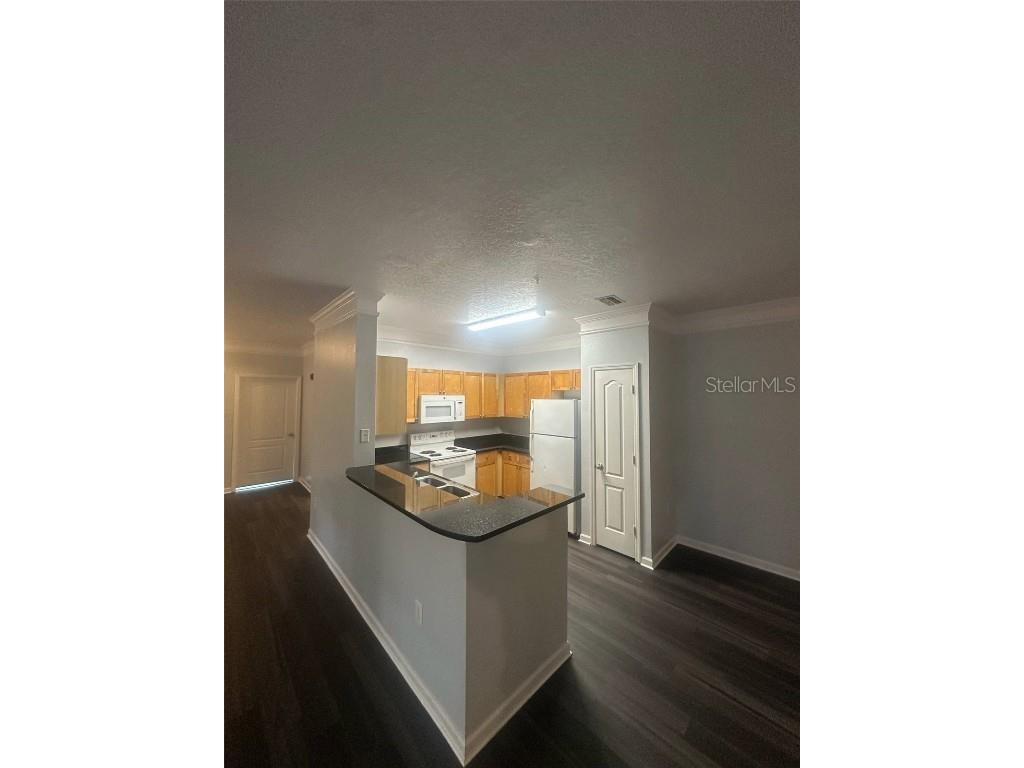 19935 Villa Isle Drive # Orlando FL 32821 O6310190 image5