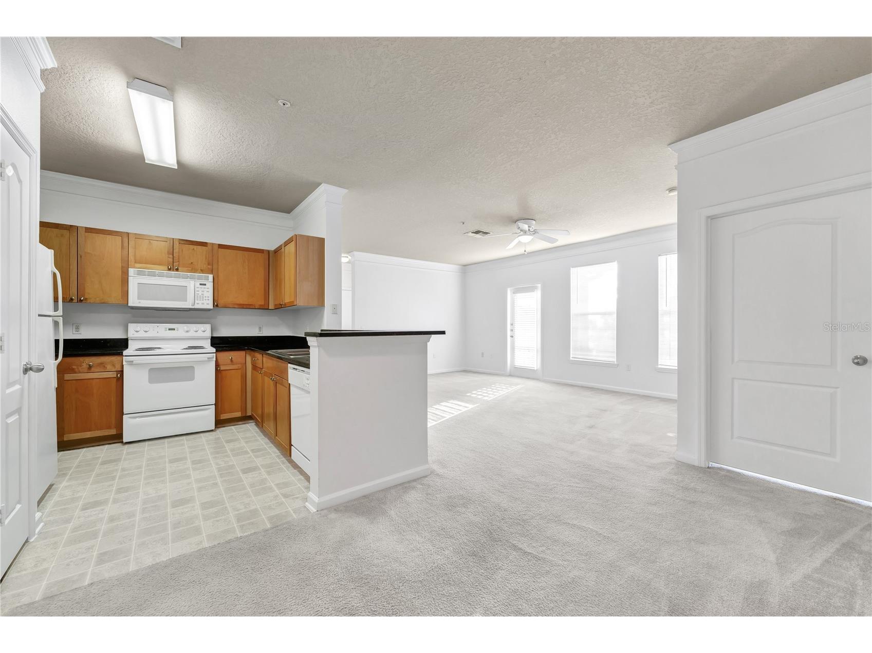 19935 Villa View Circle #306 Orlando FL 32821 O6384475 image3