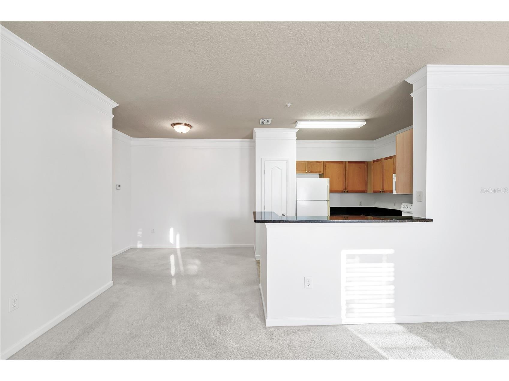 19935 Villa View Circle #306 Orlando FL 32821 O6384475 image7