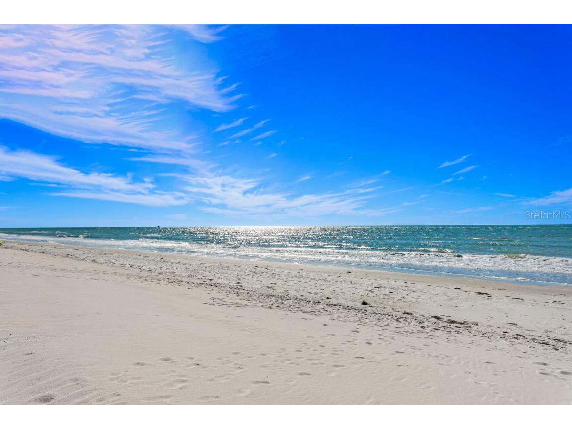 19936 Gulf Boulevard Indian Shores FL 33785 - GULF OF MEXICO TB8321498 image4