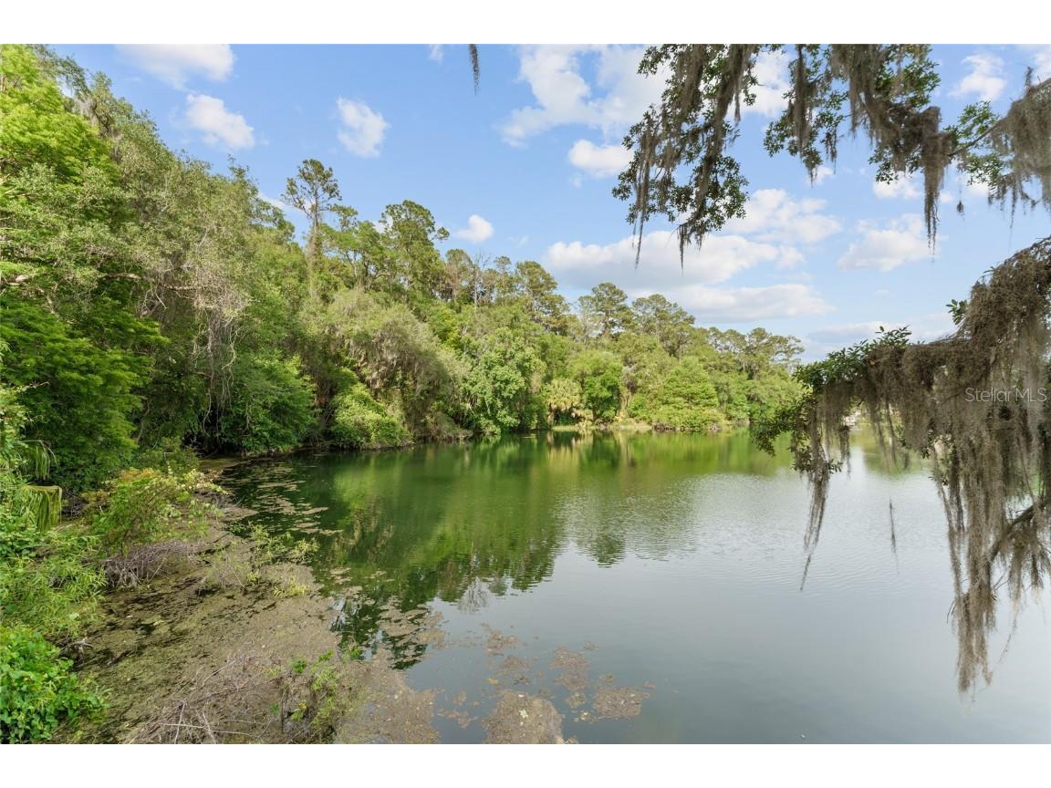 19938 Burkitt Road Dunnellon FL 34432 - BLUE COVE OFF RAINBOW RIVER OM700911 image38
