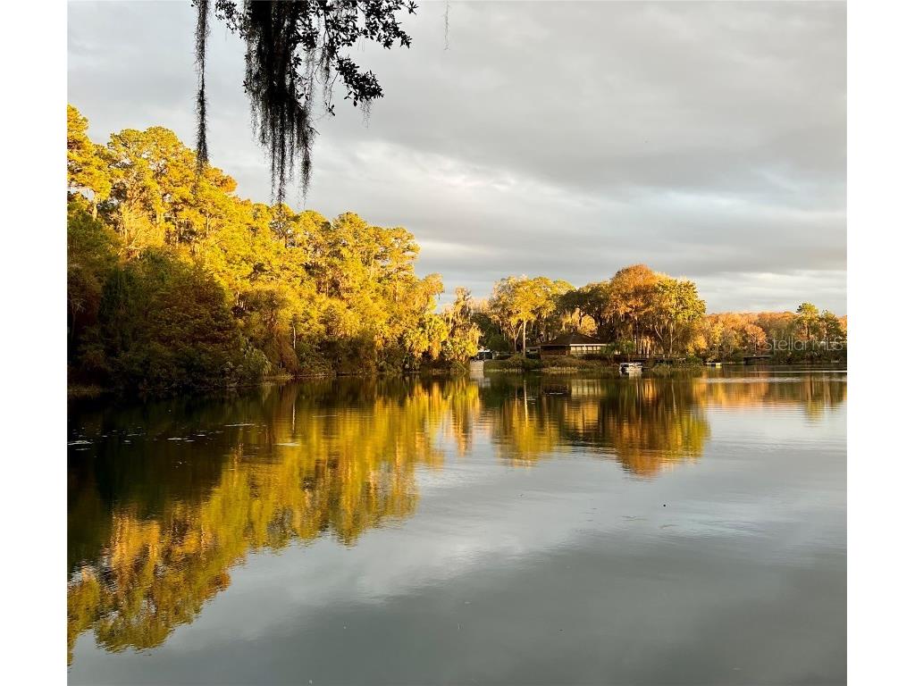 19938 Burkitt Road Dunnellon FL 34432 - BLUE COVE OFF RAINBOW RIVER OM700911 image46