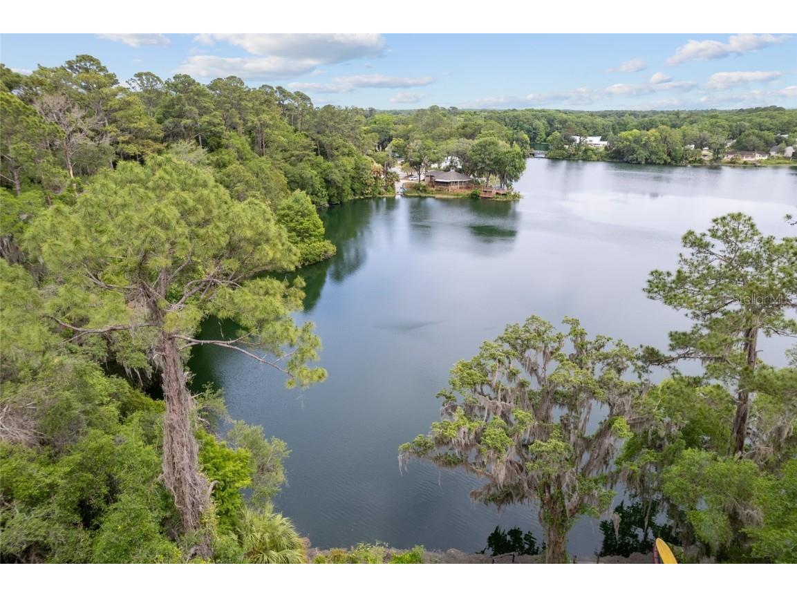 19938 Burkitt Road Dunnellon FL 34432 - BLUE COVE OFF RAINBOW RIVER OM700911 image48