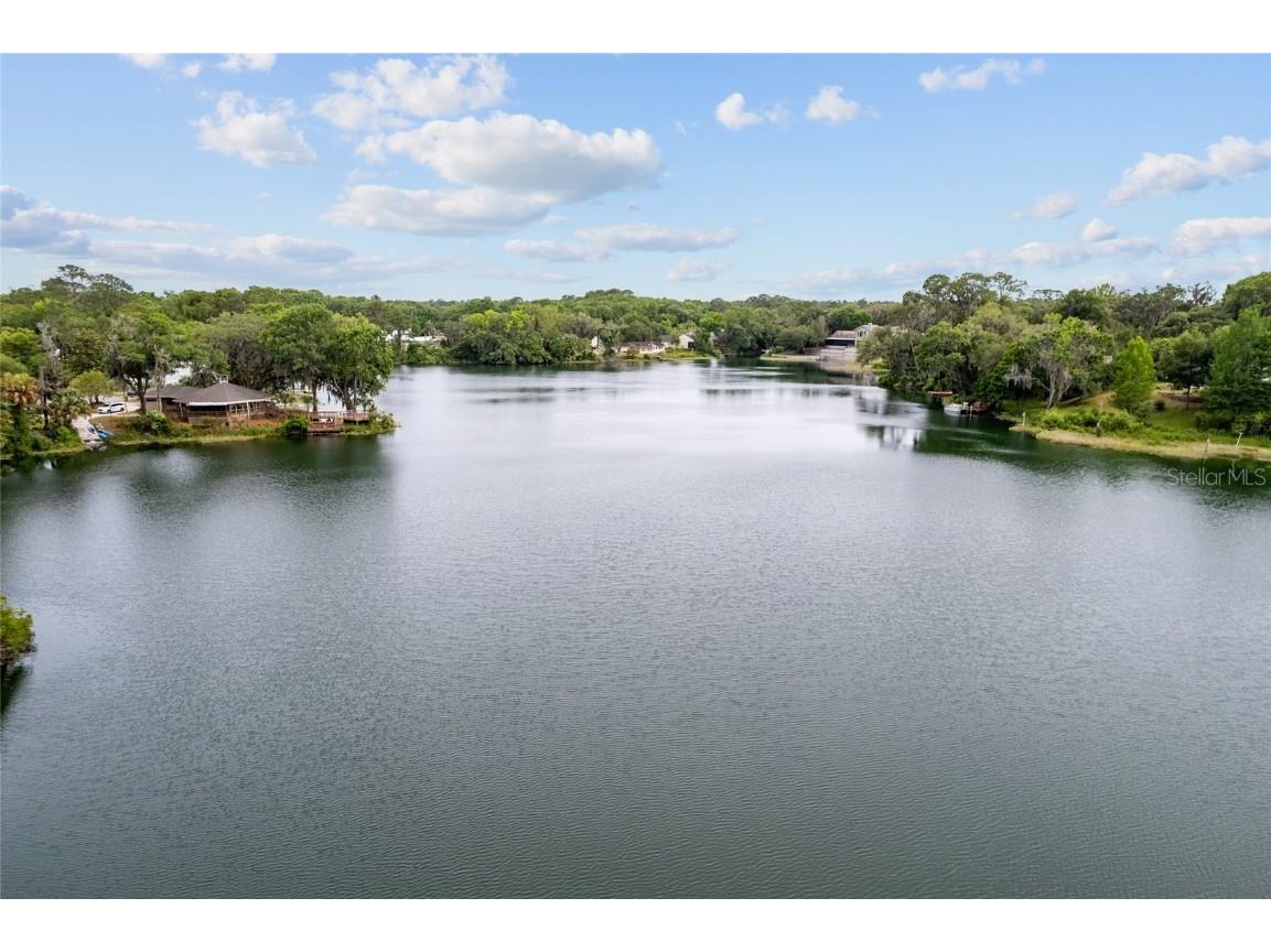 19938 Burkitt Road Dunnellon FL 34432 - BLUE COVE OFF RAINBOW RIVER OM700911 image49