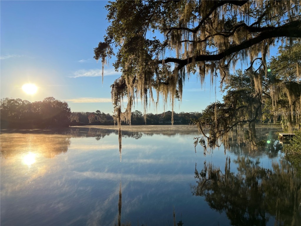 19938 Burkitt Road Dunnellon FL 34432 - BLUE COVE OFF RAINBOW RIVER OM700911 image5