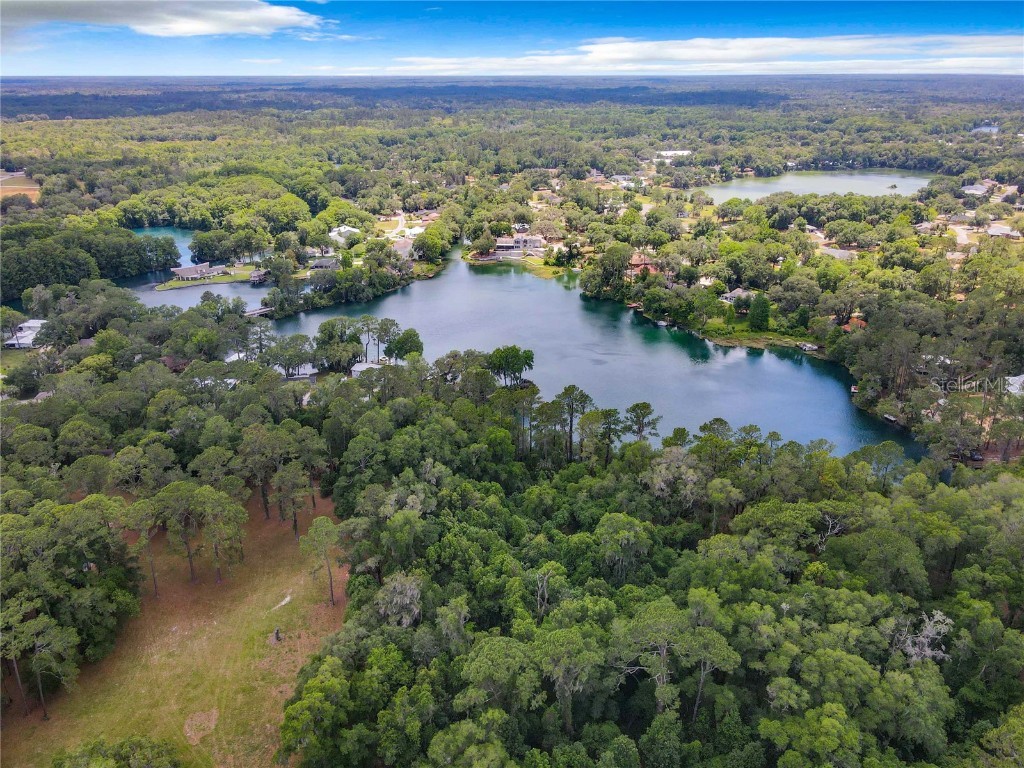 19938 Burkitt Road Dunnellon FL 34432 - BLUE COVE OFF RAINBOW RIVER OM700911 image50