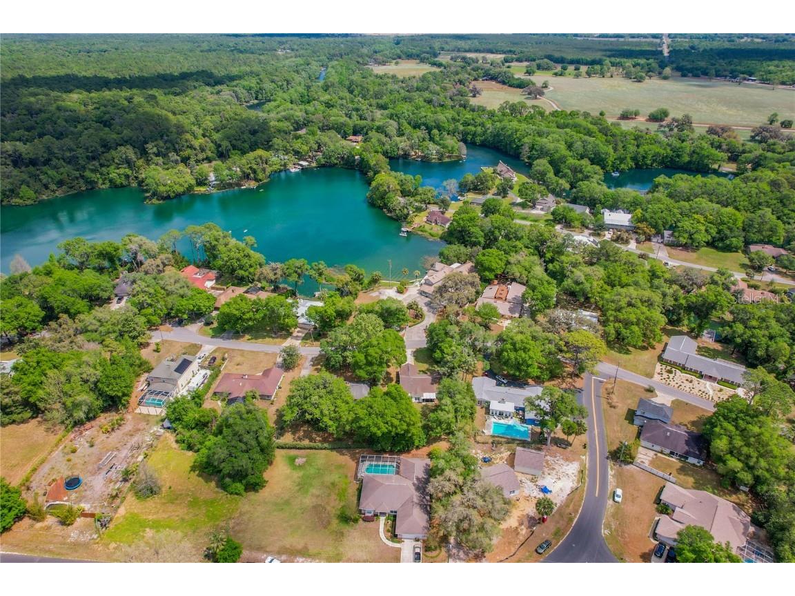 19938 Burkitt Road Dunnellon FL 34432 - BLUE COVE OFF RAINBOW RIVER OM700911 image51