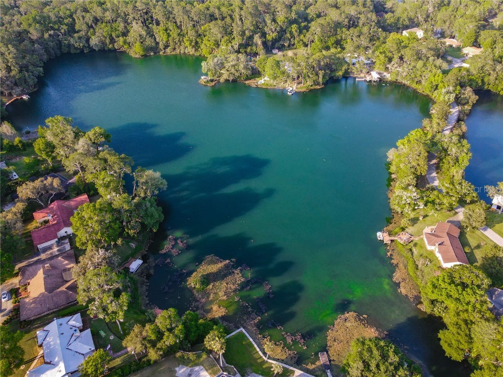 19938 Burkitt Road Dunnellon FL 34432 - BLUE COVE OFF RAINBOW RIVER OM700911 image52