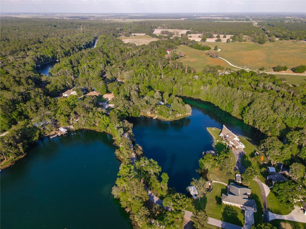 19938 Burkitt Road Dunnellon FL 34432 - BLUE COVE OFF RAINBOW RIVER OM700911 image53