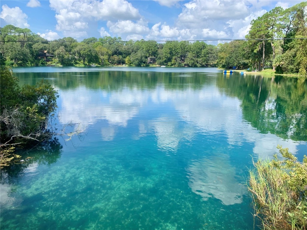 19938 Burkitt Road Dunnellon FL 34432 - BLUE COVE OFF RAINBOW RIVER OM700911 image54