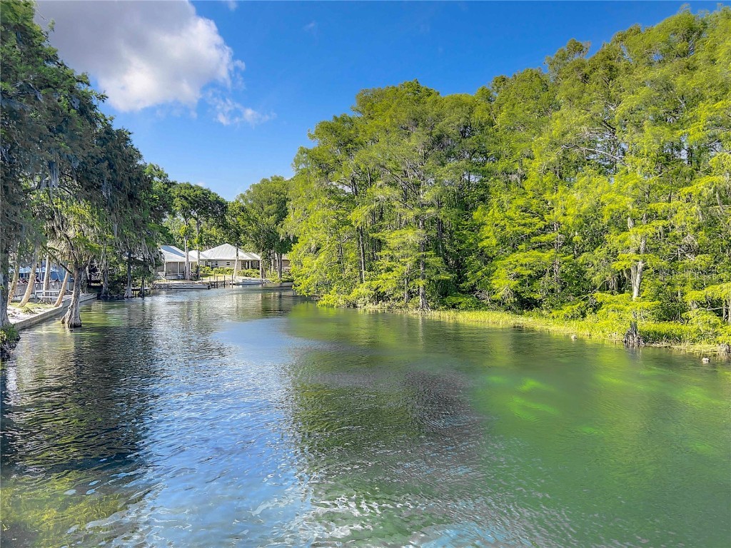 19938 Burkitt Road Dunnellon FL 34432 - BLUE COVE OFF RAINBOW RIVER OM700911 image55