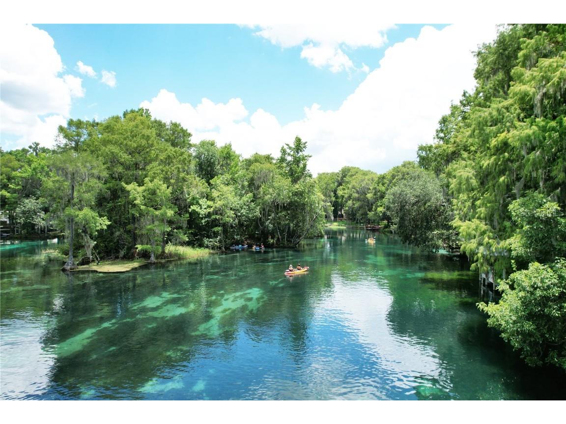 19938 Burkitt Road Dunnellon FL 34432 - BLUE COVE OFF RAINBOW RIVER OM700911 image56