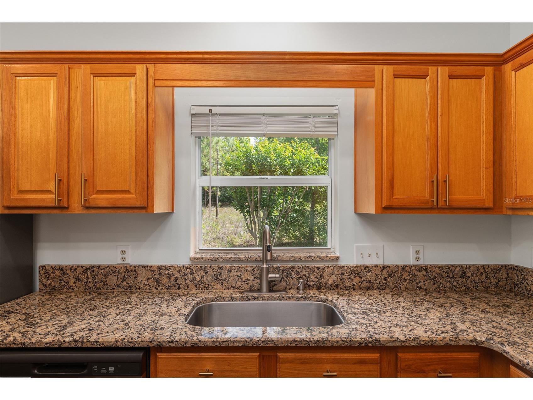 19939 SW 93rd Lane Dunnellon FL 34432 - RAINBOW RIVER OM724180 image32