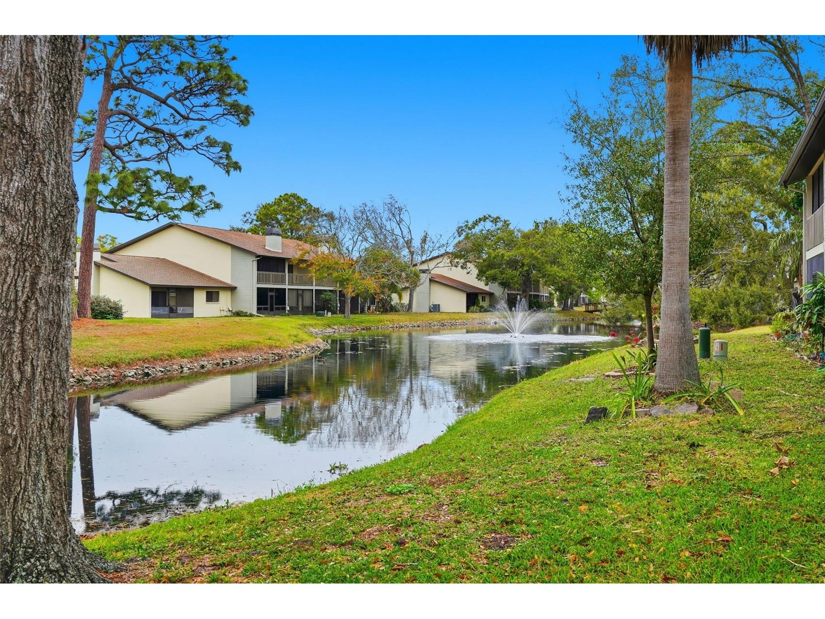 1994 Whitney Way Clearwater FL 33760 TB8474024 image32