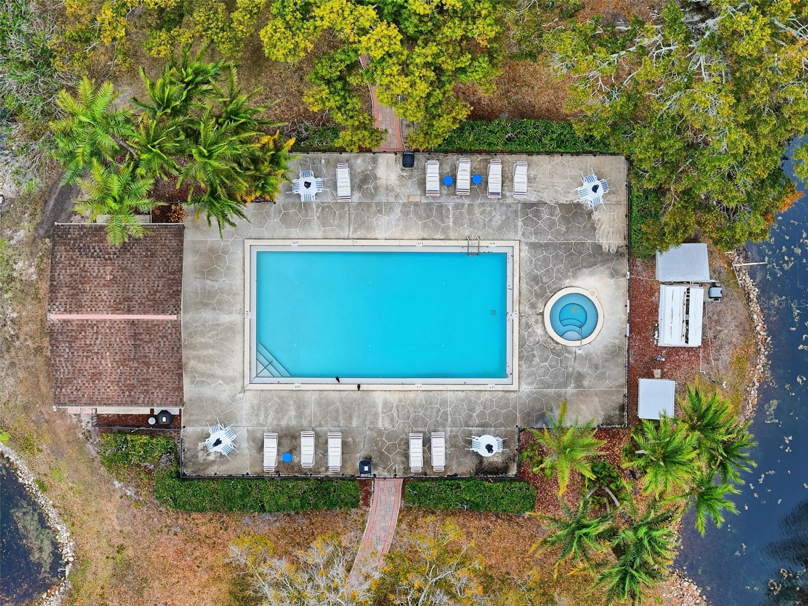 1994 Whitney Way Clearwater FL 33760 TB8474024 image36