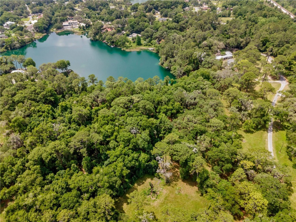 19948 Burkitt Road Dunnellon FL 34432 - BLUE COVE - RAINBOW RIVER U8119509 image1