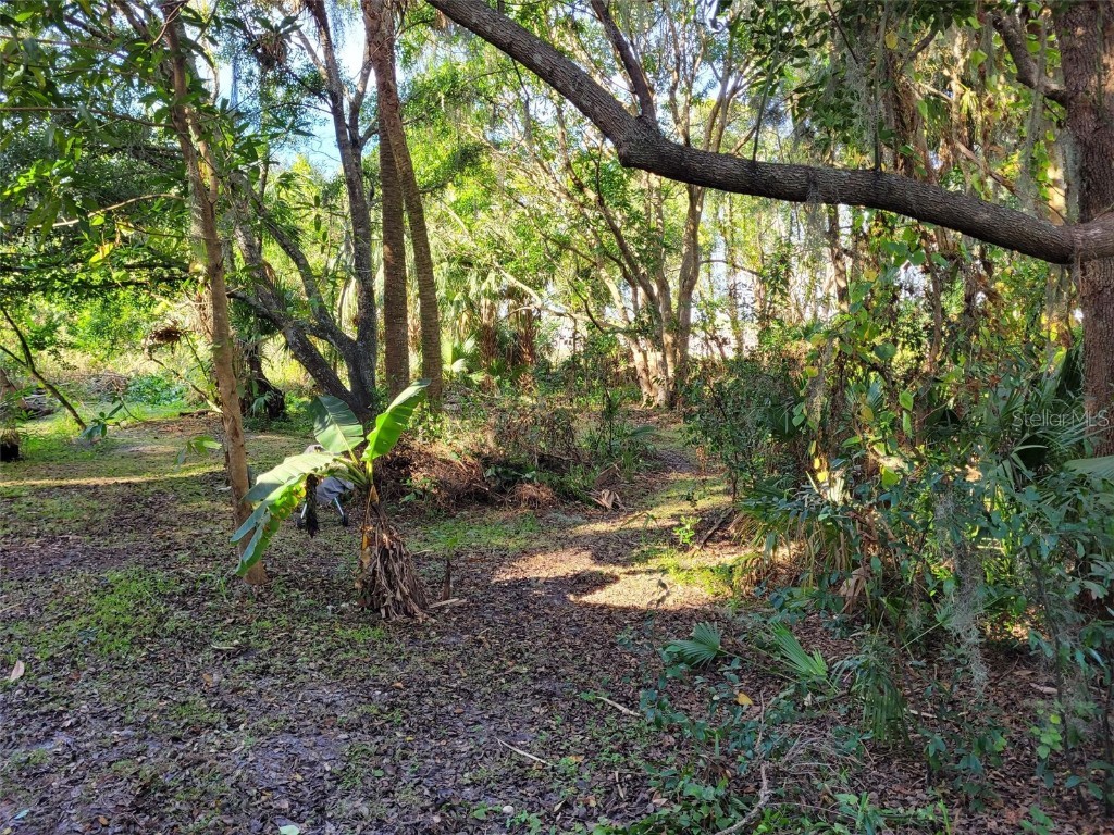 1995 1st Drive Sanford FL 32771 O6163100 image1