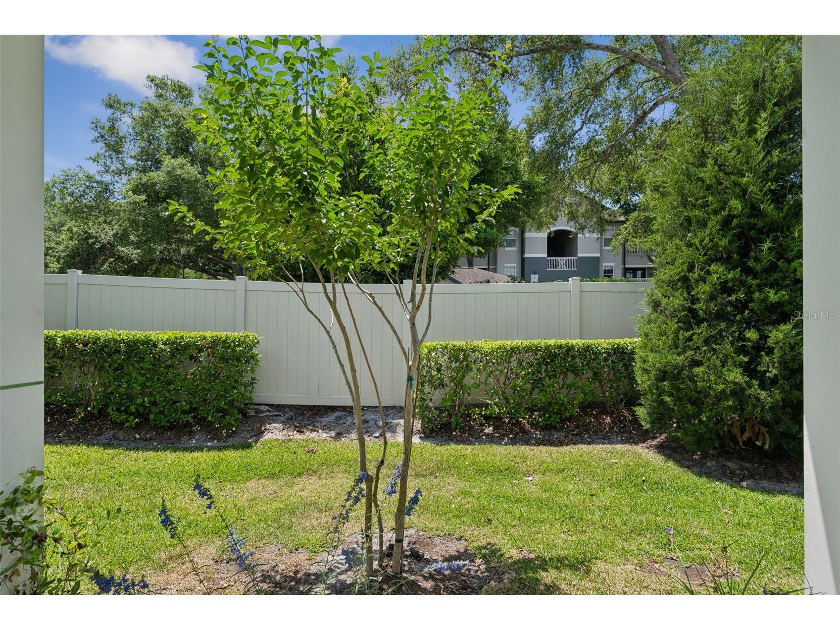 1995 Canny Cove Winter Park FL 32792 G5112476 image22