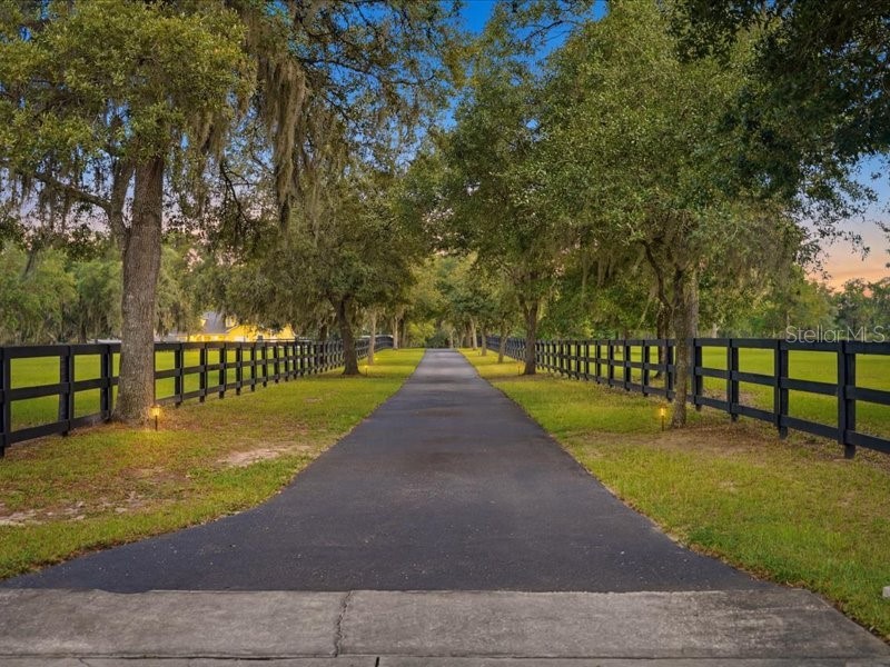 19950 SW 5th Place Dunnellon FL 34431 TB8519916 image5