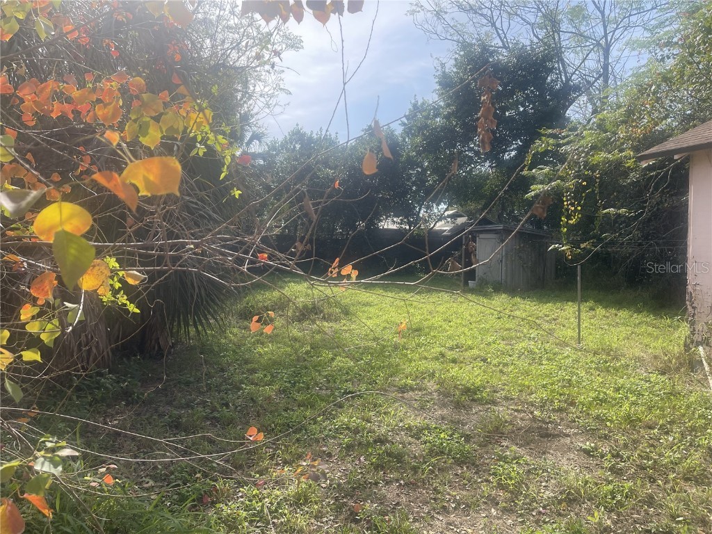 1996 Indiana Avenue Winter Park FL 32789 O6372229 image18