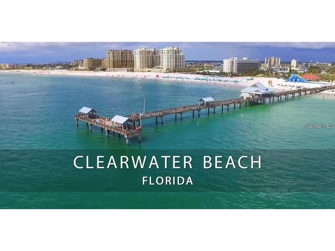 1996 Sunset Meadow Drive Clearwater FL 33763 TB8427260 image7