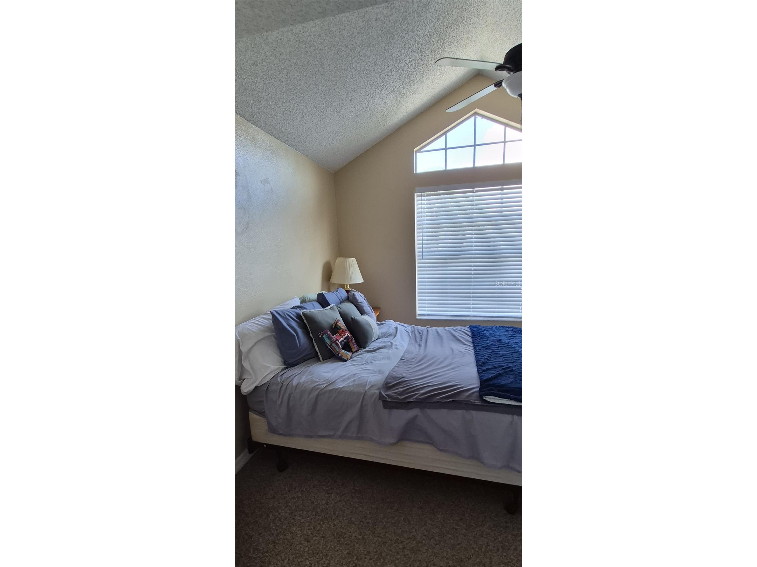 1997 Georgia Circle S Clearwater FL 33760 TB8503070 image20