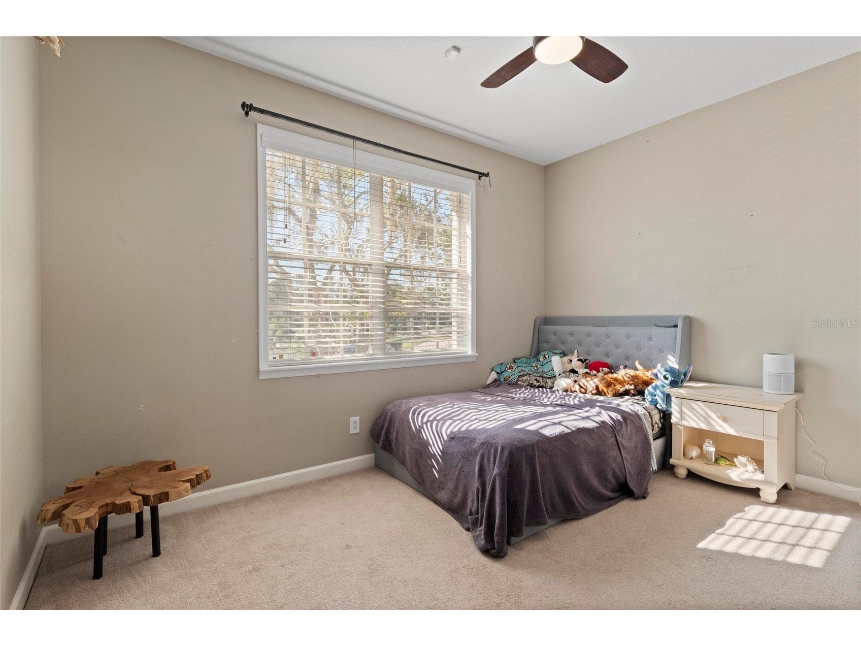 1997 Lexington Place Tarpon Springs FL 34688 W7882638 image16