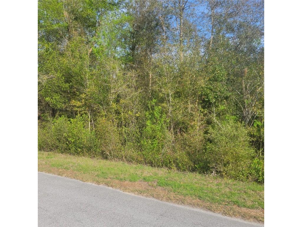 1997 SW Eagle Drive Dunnellon FL 34431 G5066652 image1