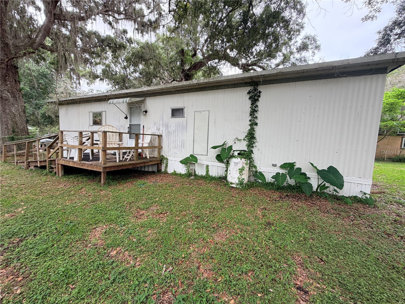 19973 Ruth Street Brooksville FL 34601 TB8515428 image1