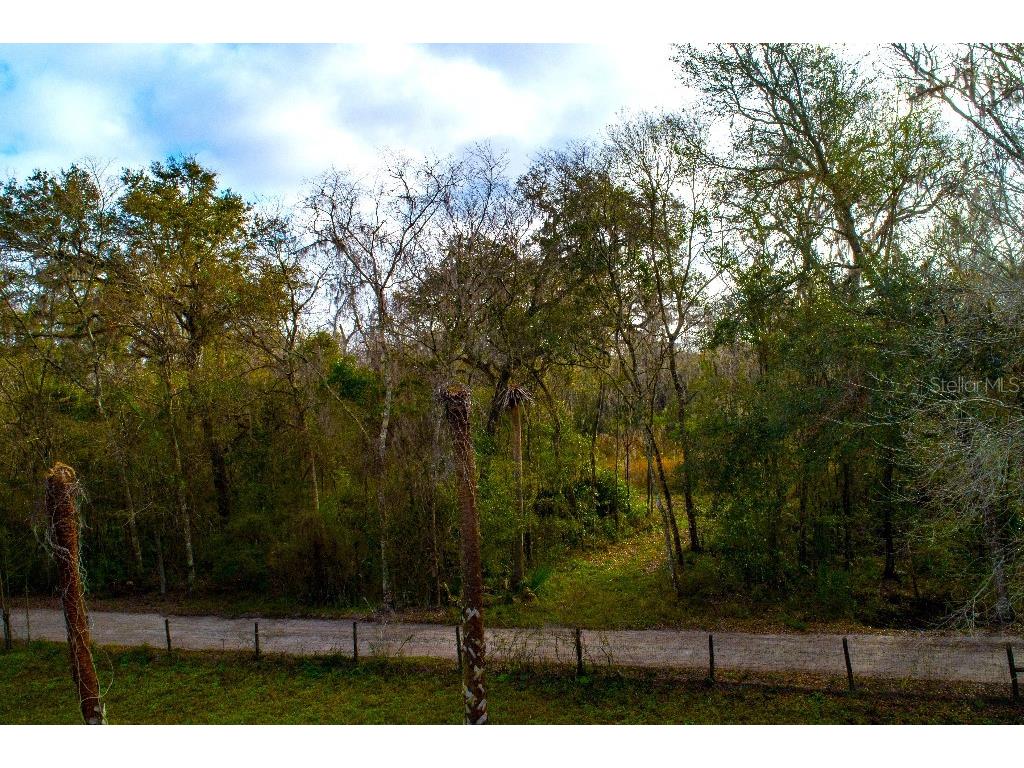 1999 SW 83rd Avenue Bushnell FL 33513 W7872767 image1