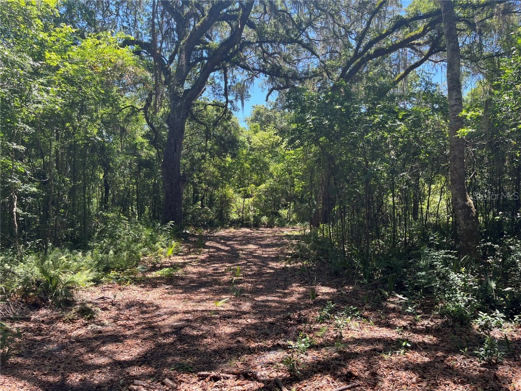 1999 SW 83rd Place Bushnell FL 33513 G5069244 image1