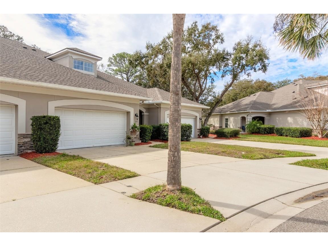 1999 Turnbull Lakes Drive New Smyrna Beach FL 32168 NS1080592 image1