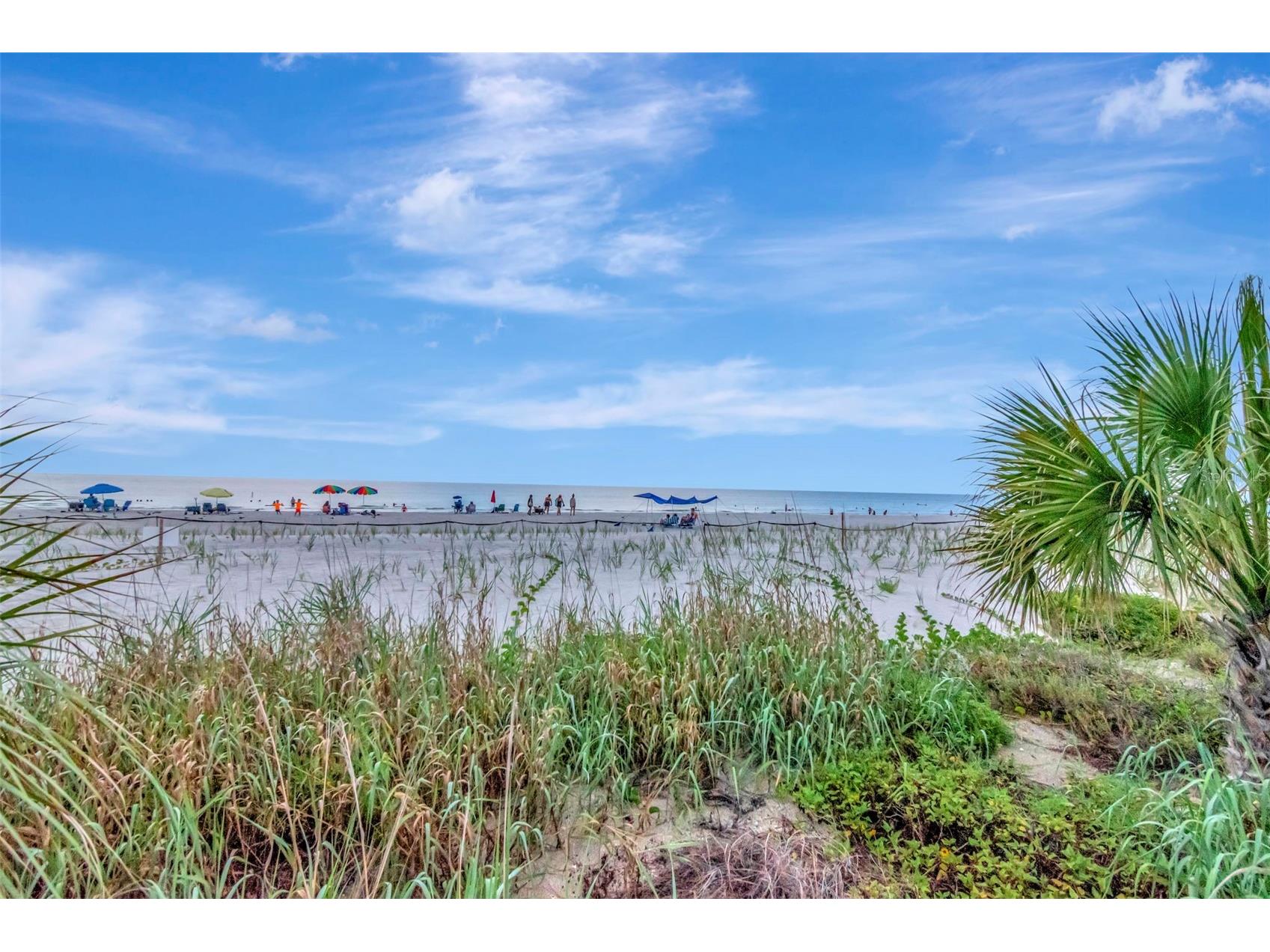 2 15th Avenue #303 Indian Rocks Beach FL 33785 - GULF TB8526287 image60