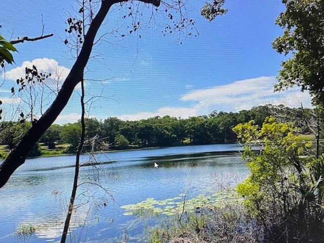 2&3 Spring Lake Road Fruitland Park FL 34731 G5109545 image1