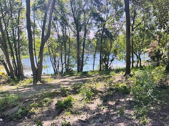 2&3 Spring Lake Road Fruitland Park FL 34731 G5109545 image3