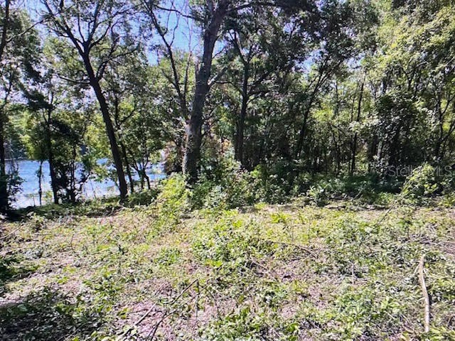 2&3 Spring Lake Road Fruitland Park FL 34731 G5109545 image4