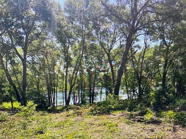 2&3 Spring Lake Road Fruitland Park FL 34731 G5109545 image5
