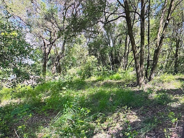 2&3 Spring Lake Road Fruitland Park FL 34731 G5109545 image6
