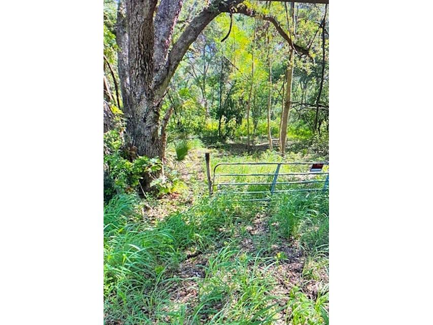2&3 Spring Lake Road Fruitland Park FL 34731 G5109545 image8