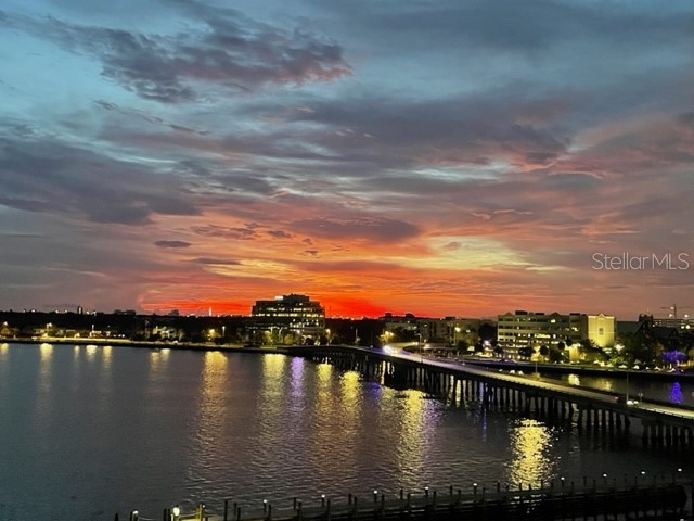 2 Adalia Avenue #403 Tampa FL 33606 T3481831 image1